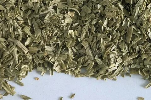 تصویر 3 از فروش ویژه و محدود سبزی ترخون خشک + قیمت عالی